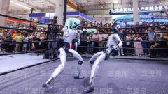 具有包涵性、平等性和多元性的人工智能管理框