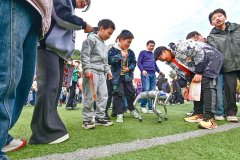 <b>的科学学问可不少</b>