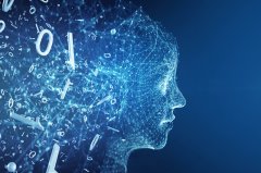 用纽约时报的投资制制替代该报的产物